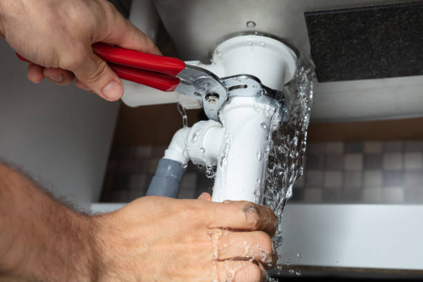Best Mold removal after water damage  in Jekyll Island, GA