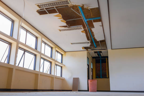 Best Water damage cleanup near me  in Jekyll Island, GA
