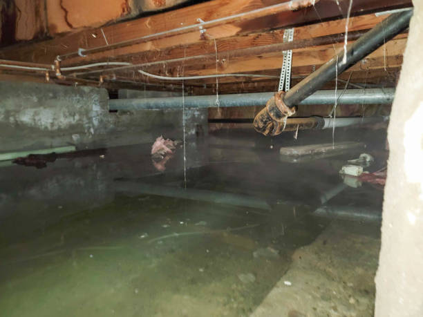 Best Emergency water extraction  in Jekyll Island, GA