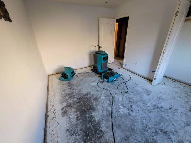 Best Flood restoration services  in Jekyll Island, GA