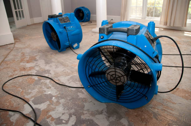 Best Flooded house restoration  in Jekyll Island, GA
