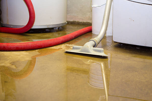 Best Carpet water damage restoration  in Jekyll Island, GA