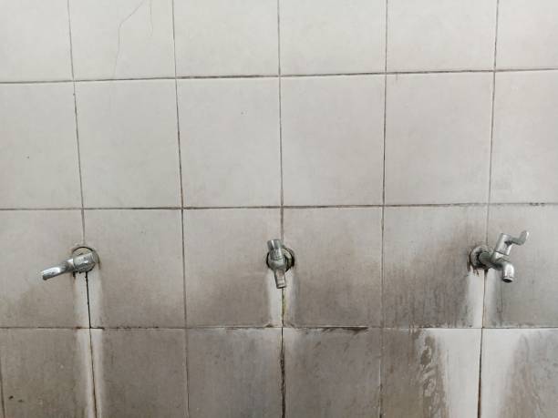 Best Basement water damage restoration  in Jekyll Island, GA
