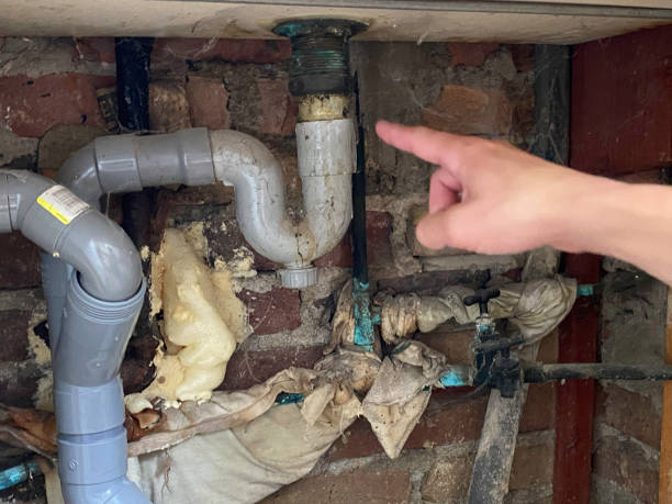 Best Water damage repair service  in Jekyll Island, GA