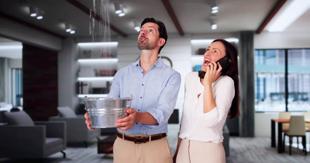 Best Water damage restoration near me  in Jekyll Island, GA