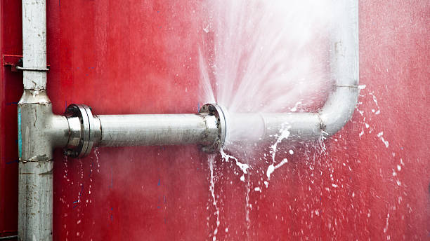 Best Local water damage restoration  in Jekyll Island, GA